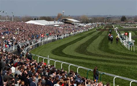 betting at aintree today|Today's Aintree Racing Tips, Predictions & Best Odds .